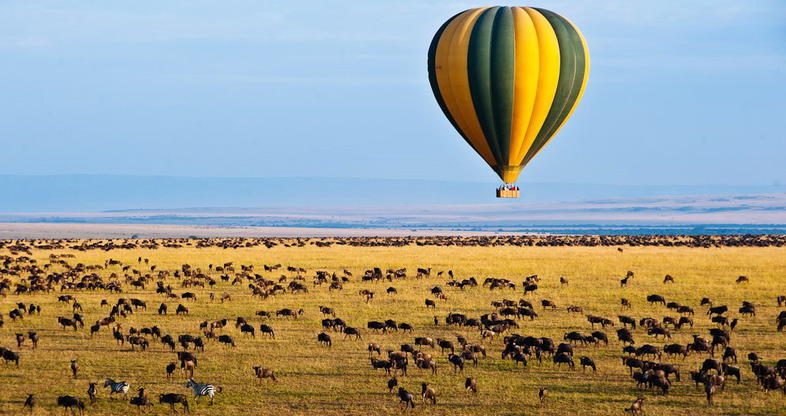 maasai-mara